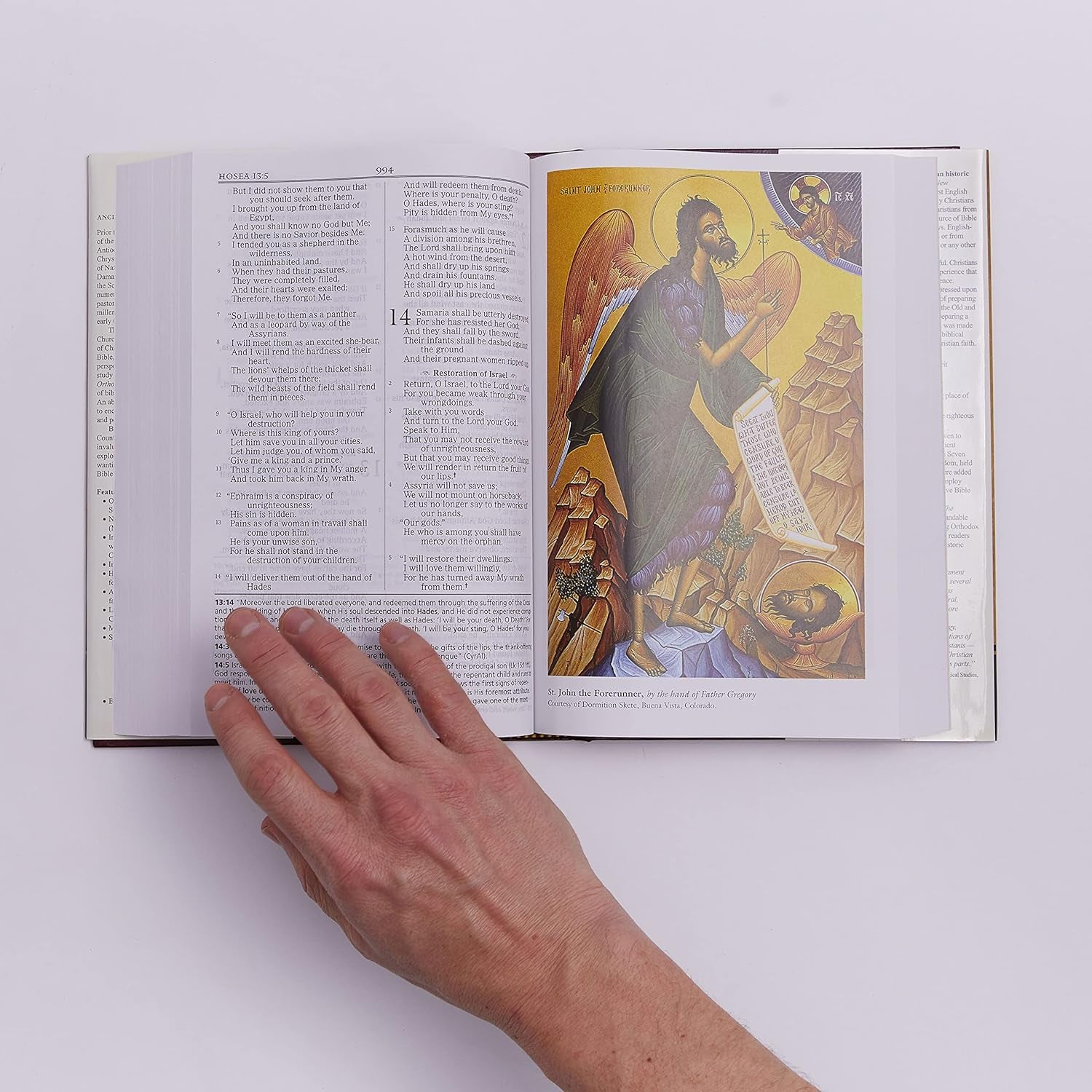 Orthodox Study Bible: Ancient Christianity Speaks to Today'S World