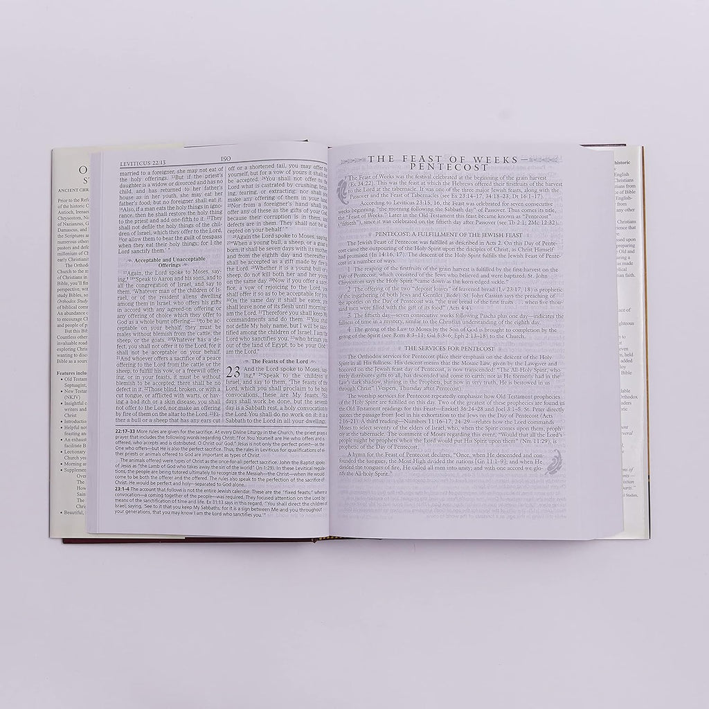 Orthodox Study Bible: Ancient Christianity Speaks to Today'S World