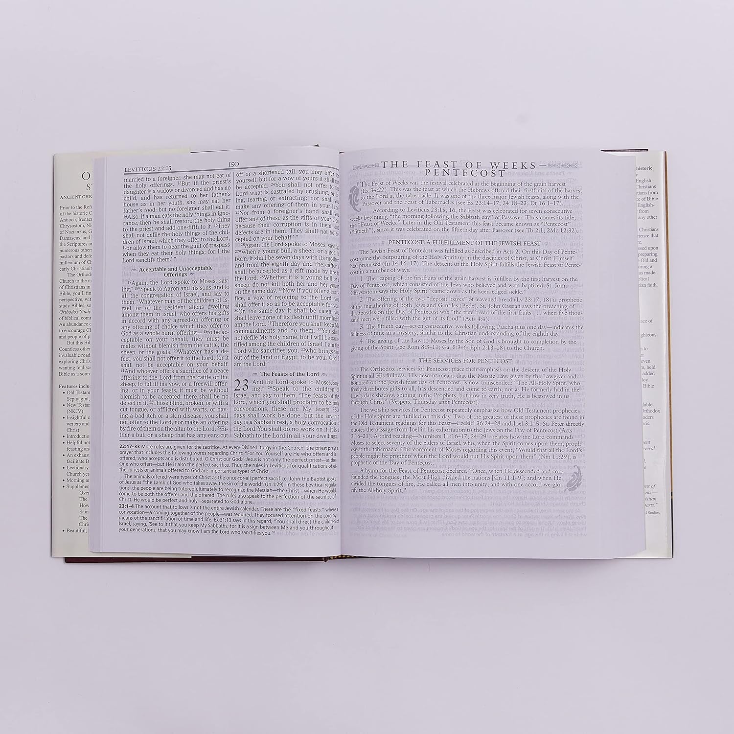 Orthodox Study Bible: Ancient Christianity Speaks to Today'S World